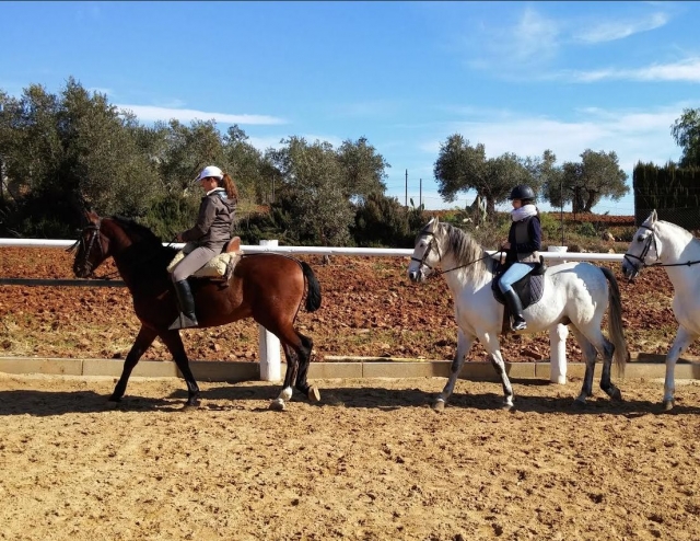  With the horses on the outdoor sand track 